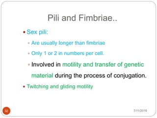 Pili and Fimbriae..
7/11/201932
 Sex pili:
 Are usually longer than fimbriae
 Only 1 or 2 in numbers per cell.
 Involved in motility and transfer of genetic
material during the process of conjugation.
 Twitching and gliding motility
 