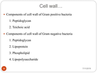 Cell wall…
 Components of cell wall of Gram positive bacteria
1. Peptidoglycan
2. Teichoic acid
 Components of cell wall of Gram negative bacteria
1. Peptidoglycan
2. Lipoprotein
3. Phospholipid
4. Lipopolysaccharide
7/11/201936
 