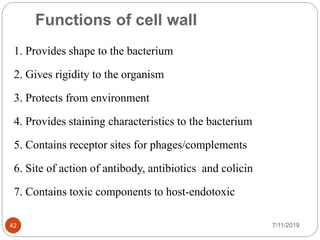 Functions of cell wall
1. Provides shape to the bacterium
2. Gives rigidity to the organism
3. Protects from environment
4. Provides staining characteristics to the bacterium
5. Contains receptor sites for phages/complements
6. Site of action of antibody, antibiotics and colicin
7. Contains toxic components to host-endotoxic
7/11/201942
 