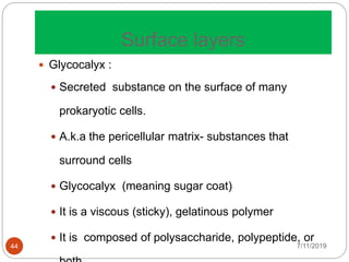 Surface layers
7/11/201944
 Glycocalyx :
 Secreted substance on the surface of many
prokaryotic cells.
 A.k.a the pericellular matrix- substances that
surround cells
 Glycocalyx (meaning sugar coat)
 It is a viscous (sticky), gelatinous polymer
 It is composed of polysaccharide, polypeptide, or
 