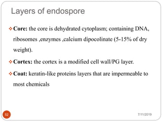Layers of endospore
Core: the core is dehydrated cytoplasm; containing DNA,
ribosomes ,enzymes ,calcium dipocolinate (5-15% of dry
weight).
Cortex: the cortex is a modified cell wall/PG layer.
Coat: keratin-like proteins layers that are impermeable to
most chemicals
7/11/201952
 