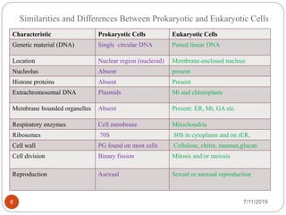 Similarities and Differences Between Prokaryotic and Eukaryotic Cells
Characteristic Prokaryotic Cells Eukaryotic Cells
Genetic material (DNA) Single circular DNA Paired linear DNA
Location Nuclear region (nucleoid) Membrane-enclosed nucleus
Nucleolus Absent present
Histone proteins Absent Present
Extrachromosomal DNA Plasmids Mt and chloroplasts
Membrane bounded organelles Absent Present: ER, Mt, GA etc.
Respiratory enzymes Cell membrane Mitochondria
Ribosomes 70S 80S in cytoplasm and on rER,
Cell wall PG found on most cells Cellulose, chitin, mannan,glucan
Cell division Binary fission Mitosis and/or meiosis
Reproduction Asexual Sexual or asexual reproduction
7/11/20196
 
