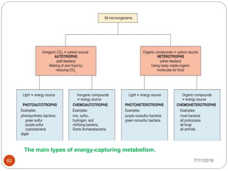7/11/201962
The main types of energy-capturing metabolism.
 