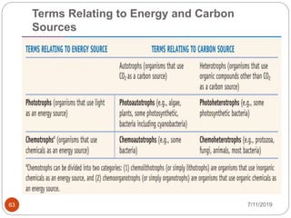 Terms Relating to Energy and Carbon
Sources
7/11/201963
 