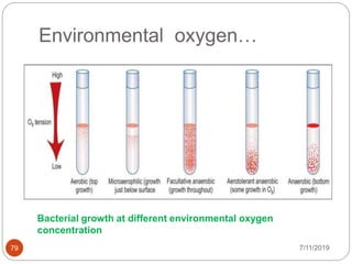 Environmental oxygen…
7/11/201979
Bacterial growth at different environmental oxygen
concentration
 