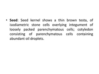 • Seed: Seed kernel shows a thin brown testa, of
isodiametric stone cells overlying integument of
loosely packed parenchymatous cells; cotyledon
consisting of parenchymatous cells containing
abundant oil droplets.
 