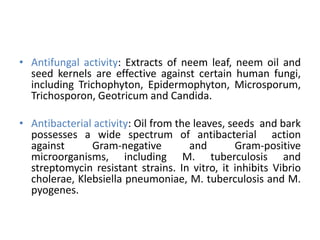 • Antifungal activity: Extracts of neem leaf, neem oil and
seed kernels are effective against certain human fungi,
including Trichophyton, Epidermophyton, Microsporum,
Trichosporon, Geotricum and Candida.
• Antibacterial activity: Oil from the leaves, seeds and bark
possesses a wide spectrum of antibacterial action
against Gram-negative and Gram-positive
microorganisms, including M. tuberculosis and
streptomycin resistant strains. In vitro, it inhibits Vibrio
cholerae, Klebsiella pneumoniae, M. tuberculosis and M.
pyogenes.
 