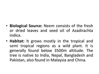 • Biological Source: Neem consists of the fresh
or dried leaves and seed oil of Azadirachta
indica.
• Habitat: It grows mostly in the tropical and
semi tropical regions as a wild plant. It is
generally found below 3500m altitude. The
tree is native to India, Nepal, Bangladesh and
Pakistan, also found in Malaysia and China.
 