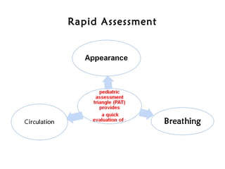 Rapid Assessment
 