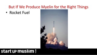 Link Profit System Training
But If We Produce Myelin for the Right Things
• Rocket Fuel
 