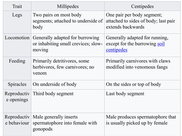 Position of insects in animal kingdom and their relationship with other ...