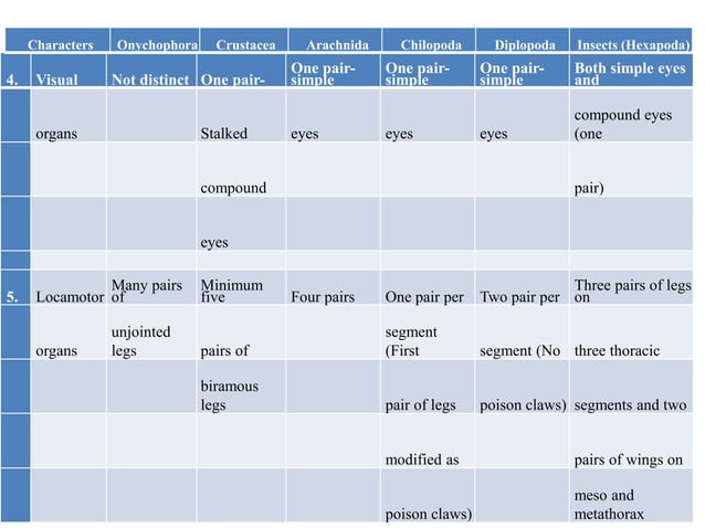 Position of insects in animal kingdom and their relationship with other ...