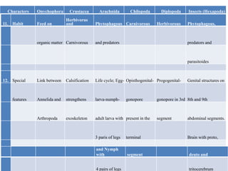 Position of insects in animal kingdom and their relationship with other ...