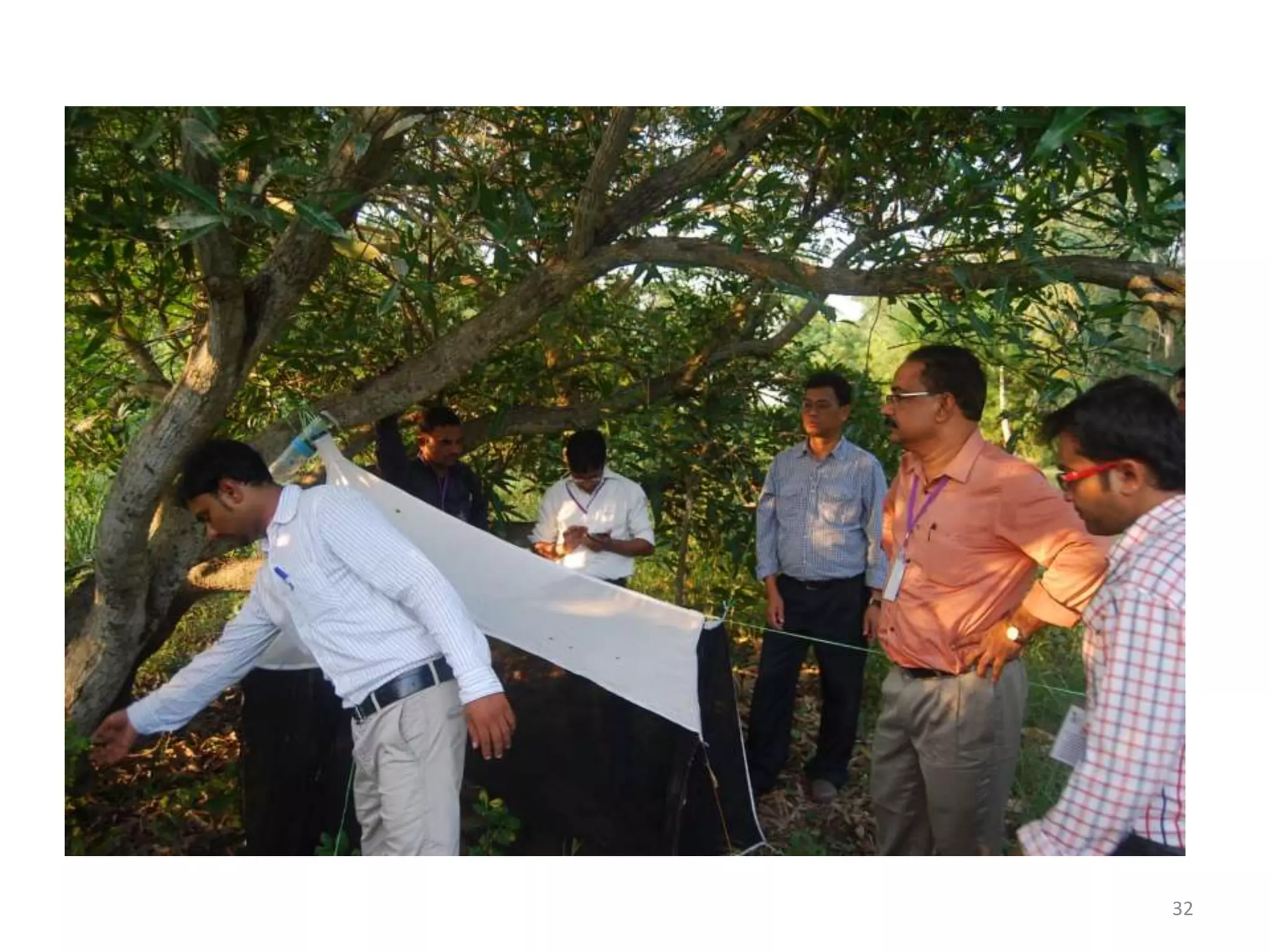 Methods of insect collection, preservation, display and storage by Dr ...