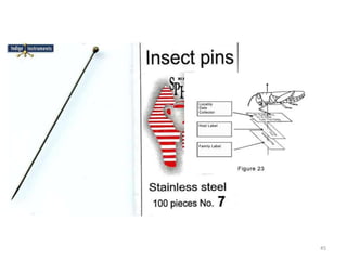 Methods of insect collection, preservation, display and storage by Dr ...