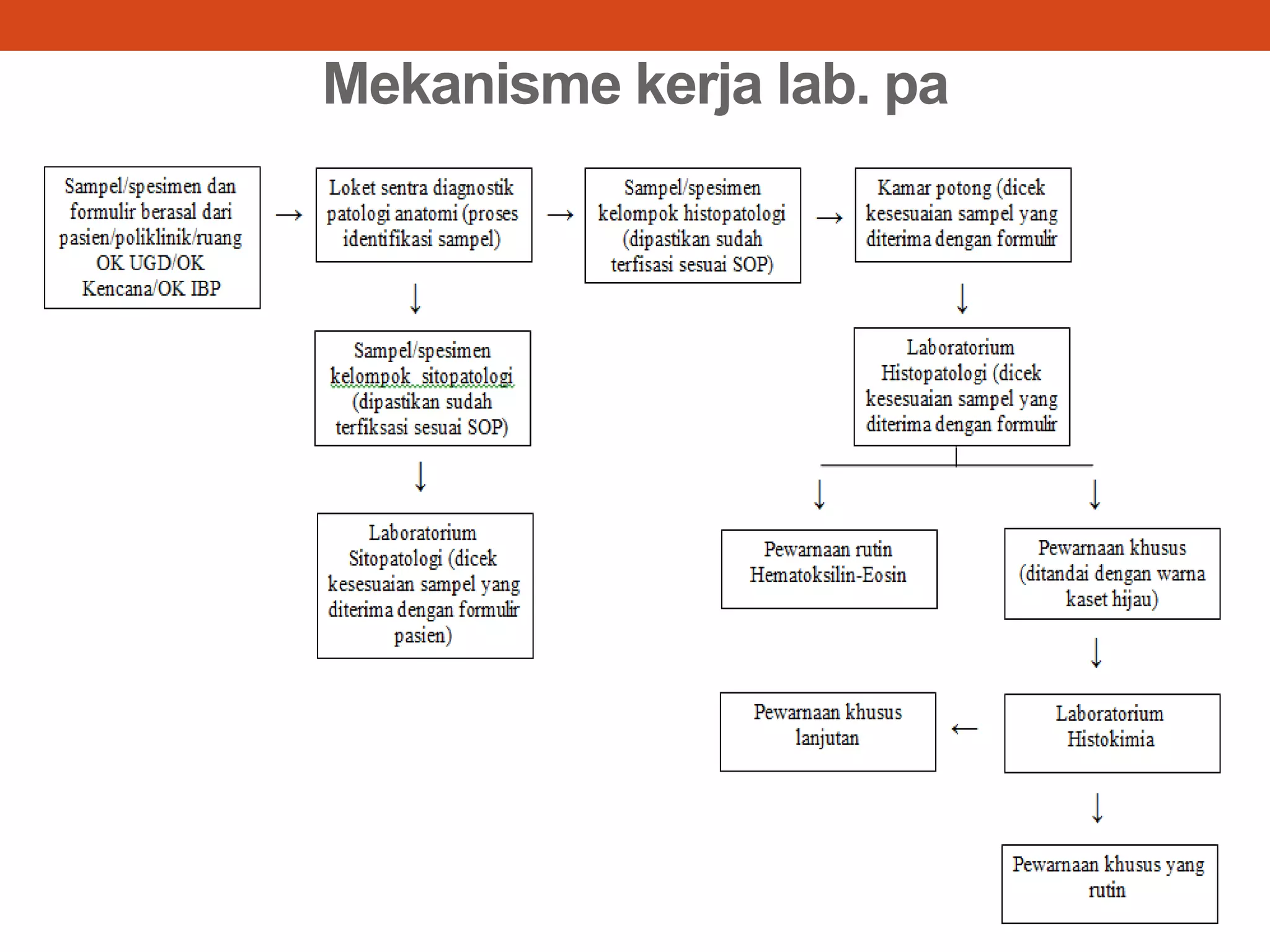 2. laboratorium histopatologi (rpl) | PPTX