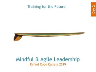 Mindful & Agile Leadership
Rafael Cobo Calleja 2019
Training for the Future
Day2
 