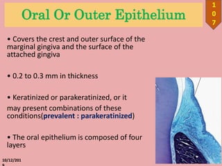 Oral Or Outer Epithelium
• Covers the crest and outer surface of the
marginal gingiva and the surface of the
attached gingiva
• 0.2 to 0.3 mm in thickness
• Keratinized or parakeratinized, or it
may present combinations of these
conditions(prevalent : parakeratinized)
• The oral epithelium is composed of four
layers
10/12/201
1
0
7
 
