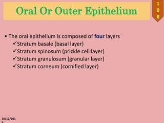 Oral Or Outer Epithelium
• The oral epithelium is composed of four layers
Stratum basale (basal layer)
Stratum spinosum (prickle cell layer)
Stratum granulosum (granular layer)
Stratum corneum (cornified layer)
10/12/201
1
0
8
 