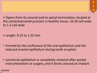 • Tapers from its coronal end to apical termination, located at
the cementoenamel junction in healthy tissue: 10-20 cell wide
to 1-2 cell wide
• Length: 0.25 to 1.35 mm
• Formed by the confluence of the oral epithelium and the
reduced enamel epithelium during tooth eruption
• Junctional epithelium is completely restored after pocket
instrumentation or surgery, and it forms around an implant
10/12/201
1
1
4
 