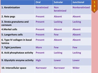 10/12/201
1
3
1
Oral Sulcular Junctional
1. Keratinization Keratinized Non
keratinized
Nonkeratinized
2. Rete pegs Present Absent Absent
3. Strata granuloma and
corneum
Present Lacking Lacking
4.Merkel cells Present Absent Absent
5. Langerhans cells Present Few Absent
6. Type IV collagen in basal
lamina
Present Absent Absent
7. Tight junctions More Few Few
8. Acid phosphatase activity Present Lacking Lacking
9. Glycolytic enzyme activity High Lower Lower
10. Intercellular space Narrower Narrower Wider
 