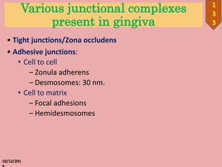 Various junctional complexes
present in gingiva
• Tight junctions/Zona occludens
• Adhesive junctions:
• Cell to cell
– Zonula adherens
– Desmosomes: 30 nm.
• Cell to matrix
– Focal adhesions
– Hemidesmosomes
10/12/201
1
3
3
 