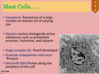 Mast Cells…..
• Cytoplasm presence of a large
number of vesicles (V) of varying
size
• Vesicles contain biologically active
substances such as proteolytic
enzymes, histamine, and heparin
• Golgi complex (G) well developed
• Granular endoplasmic reticulum
scarce
• Microvilli (MV)seen along the
periphery of the cell
10/12/201
1
4
4
 