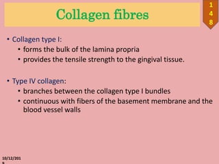 Collagen fibres
• Collagen type I:
• forms the bulk of the lamina propria
• provides the tensile strength to the gingival tissue.
• Type IV collagen:
• branches between the collagen type I bundles
• continuous with fibers of the basement membrane and the
blood vessel walls
10/12/201
1
4
8
 