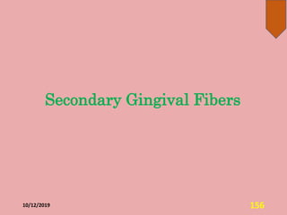 Secondary Gingival Fibers
10/12/2019 156
 