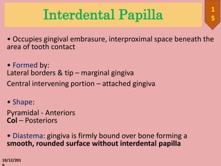 Interdental Papilla
• Occupies gingival embrasure, interproximal space beneath the
area of tooth contact
• Formed by:
Lateral borders & tip – marginal gingiva
Central intervening portion – attached gingiva
• Shape:
Pyramidal - Anteriors
Col – Posteriors
• Diastema: gingiva is firmly bound over bone forming a
smooth, rounded surface without interdental papilla
10/12/201
1
5
 
