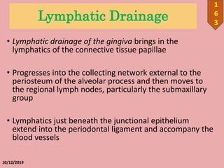 Lymphatic Drainage
• Lymphatic drainage of the gingiva brings in the
lymphatics of the connective tissue papillae
• Progresses into the collecting network external to the
periosteum of the alveolar process and then moves to
the regional lymph nodes, particularly the submaxillary
group
• Lymphatics just beneath the junctional epithelium
extend into the periodontal ligament and accompany the
blood vessels
10/12/2019
1
6
3
 