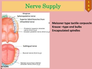Nerve Supply
10/12/201
1
6
4
• Meissner type tactile corpuscles
Krause –type end bulbs
Encapsulated spindles
 
