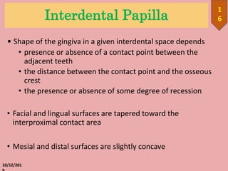 Interdental Papilla
• Shape of the gingiva in a given interdental space depends
• presence or absence of a contact point between the
adjacent teeth
• the distance between the contact point and the osseous
crest
• the presence or absence of some degree of recession
• Facial and lingual surfaces are tapered toward the
interproximal contact area
• Mesial and distal surfaces are slightly concave
10/12/201
1
6
 