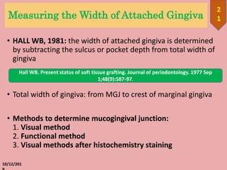 Measuring the Width of Attached Gingiva
• HALL WB, 1981: the width of attached gingiva is determined
by subtracting the sulcus or pocket depth from total width of
gingiva
• Total width of gingiva: from MGJ to crest of marginal gingiva
• Methods to determine mucogingival junction:
1. Visual method
2. Functional method
3. Visual methods after histochemistry staining
10/12/201
2
1
Hall WB. Present status of soft tissue grafting. Journal of periodontology. 1977 Sep
1;48(9):587-97.
 