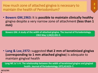 How much zone of attached gingiva is necessary to
maintain the health of Periodontium?
• Bowers GM,1963: It is possible to maintain clinically healthy
gingiva despite a very narrow zone of attachment (less than 1
mm)
• Lang & Loe,1972: suggested that 2 mm of keratinized gingiva
(corresponding to 1 mm attached gingiva) is adequate to
maintain gingival health
10/12/201
2
3
Lang NP, Lo¨e H. The relationship between the width of keratinized gingiva and gingival
health. Journal of Periodontology 1972;43:623–7.
Bowers GM. A study of the width of attached gingiva. The Journal of Periodontology.
1963 May 1;34(3):201-9.
 