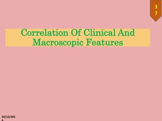 Correlation Of Clinical And
Macroscopic Features
10/12/201
3
7
 