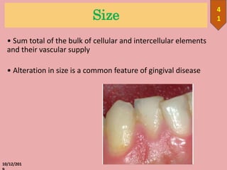 Size
• Sum total of the bulk of cellular and intercellular elements
and their vascular supply
• Alteration in size is a common feature of gingival disease
10/12/201
4
1
 