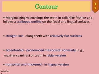 Contour
• Marginal gingiva envelops the teeth in collarlike fashion and
follows a scalloped outline on the facial and lingual surfaces
• straight line - along teeth with relatively flat surfaces
• accentuated - pronounced mesiodistal convexity (e.g.,
maxillary canines) or teeth in labial version
• horizontal and thickened - in lingual version
10/12/201
4
2
 