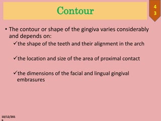 Contour
• The contour or shape of the gingiva varies considerably
and depends on:
the shape of the teeth and their alignment in the arch
the location and size of the area of proximal contact
the dimensions of the facial and lingual gingival
embrasures
10/12/201
4
3
 