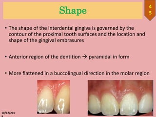 Shape
• The shape of the interdental gingiva is governed by the
contour of the proximal tooth surfaces and the location and
shape of the gingival embrasures
• Anterior region of the dentition  pyramidal in form
• More flattened in a buccolingual direction in the molar region
10/12/201
4
5
 