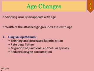 Age Changes
• Stippling usually disappears with age
• Width of the attached gingiva increases with age
a. Gingival epithelium:
• Thinning and decreased keratinization
• Rete pegs flatten
• Migration of junctional epithelium apically.
• Reduced oxygen consumption
10/12/201
6
0
 