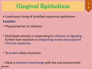 Gingival Epithelium
• Continuous lining of stratified squamous epithelium
Function:
• Physical barrier to Infection
• Participate actively in responding to infection in signaling
further host reactions in integrating innate and acquired
immune responses
• To protect deep structures
• Allow a selective interchange with the oral environment
10/12/201
7
5
 