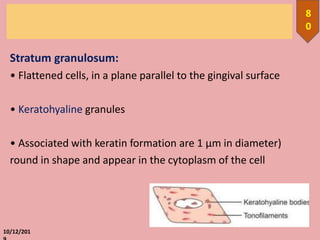 Stratum granulosum:
• Flattened cells, in a plane parallel to the gingival surface
• Keratohyaline granules
• Associated with keratin formation are 1 μm in diameter)
round in shape and appear in the cytoplasm of the cell
10/12/201
8
0
 