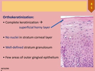 Orthokeratinization:
• Complete keratinization 
superficial horny layer
• No nuclei in stratum corneal layer
• Well-defined stratum granulosum
• Few areas of outer gingival epithelium
10/12/201
8
5
 