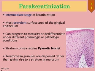 Parakeratinization
• Intermediate stage of keratinization
• Most prevalent surface area of the gingival
epithelium
• Can progress to maturity or dedifferentiate
under different physiologic or pathologic
conditions
• Stratum cornea retains Pyknotic Nuclei
• Keratohyalin granules are dispersed rather
than giving rise to a stratum granulosum
10/12/201
8
6
 