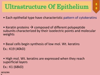 Ultrastructure Of Epithelium
• Each epithelial type have characteristic pattern of cytokeratins
• Keratin proteins  composed of different polypeptide
subunits characterized by their isoelectric points and molecular
weights
• Basal cells begin synthesis of low mol. Wt. keratins
Ex.: K19 (40kD)
• High mol. Wt. keratins are expressed when they reach
superficial layers
Ex.: K1 (68kD)
10/12/201
8
8
 