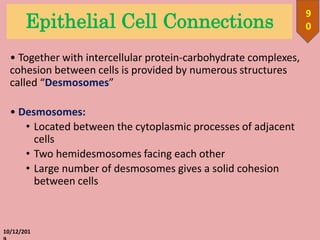 Epithelial Cell Connections
• Together with intercellular protein-carbohydrate complexes,
cohesion between cells is provided by numerous structures
called “Desmosomes”
• Desmosomes:
• Located between the cytoplasmic processes of adjacent
cells
• Two hemidesmosomes facing each other
• Large number of desmosomes gives a solid cohesion
between cells
10/12/201
9
0
 