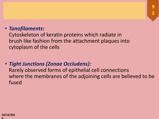 • Tonofilaments:
Cytoskeleton of keratin proteins which radiate in
brush like fashion from the attachment plaques into
cytoplasm of the cells
• Tight Junctions (Zonae Occludens):
Rarely observed forms of epithelial cell connections
where the membranes of the adjoining cells are believed to be
fused
10/12/201
9
2
 