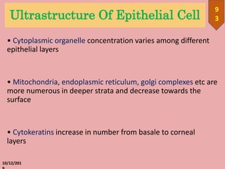Ultrastructure Of Epithelial Cell
• Cytoplasmic organelle concentration varies among different
epithelial layers
• Mitochondria, endoplasmic reticulum, golgi complexes etc are
more numerous in deeper strata and decrease towards the
surface
• Cytokeratins increase in number from basale to corneal
layers
10/12/201
9
3
 