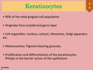Keratinocytes
• 90% of the total gingival cell population
• Originate from ectodermal germ layer
• Cell organelles: nucleus, cytosol, ribosomes, Golgi apparatus
etc
• Melanosomes: Pigment bearing granules
• Proliferation and differentiation of the keratinocytes
helps in the barrier action of the epithelium
10/12/201
9
6
 
